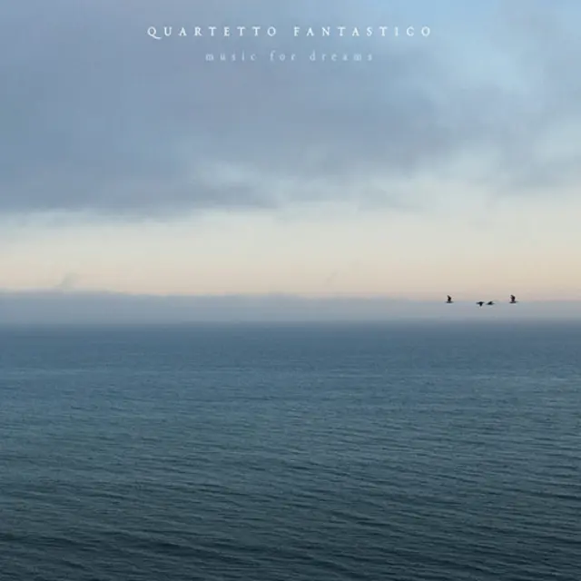 Cover artwork for QUARTETTO FANTASTICO - Music For Dreams